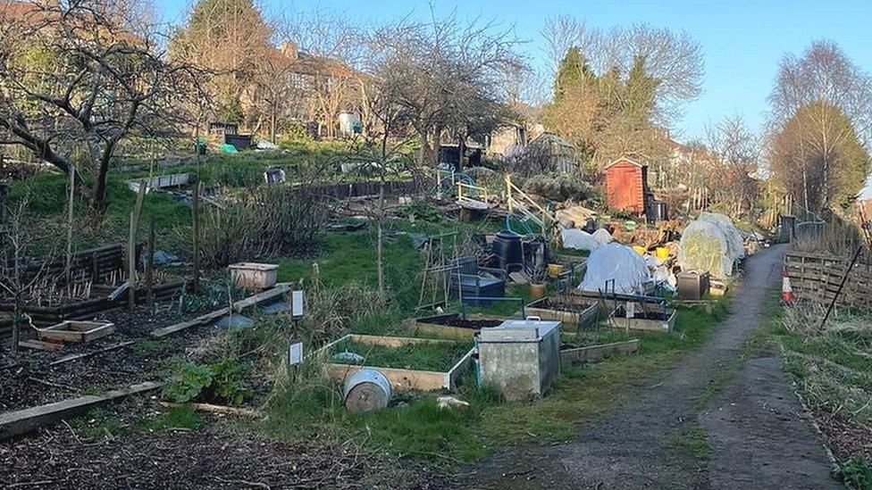 Redland Green Allotments