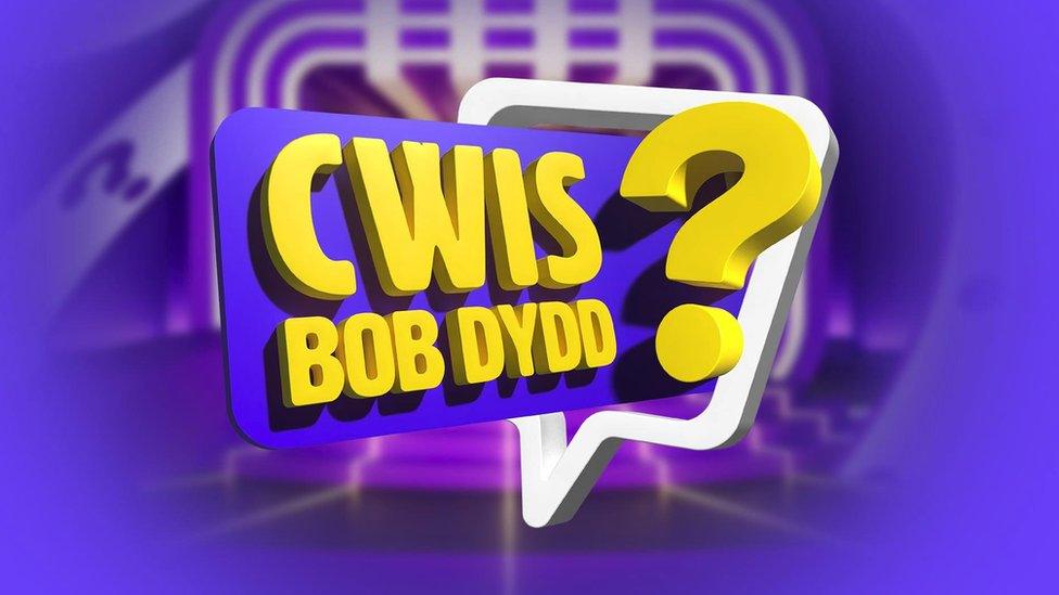 Cwis Bob Dydd