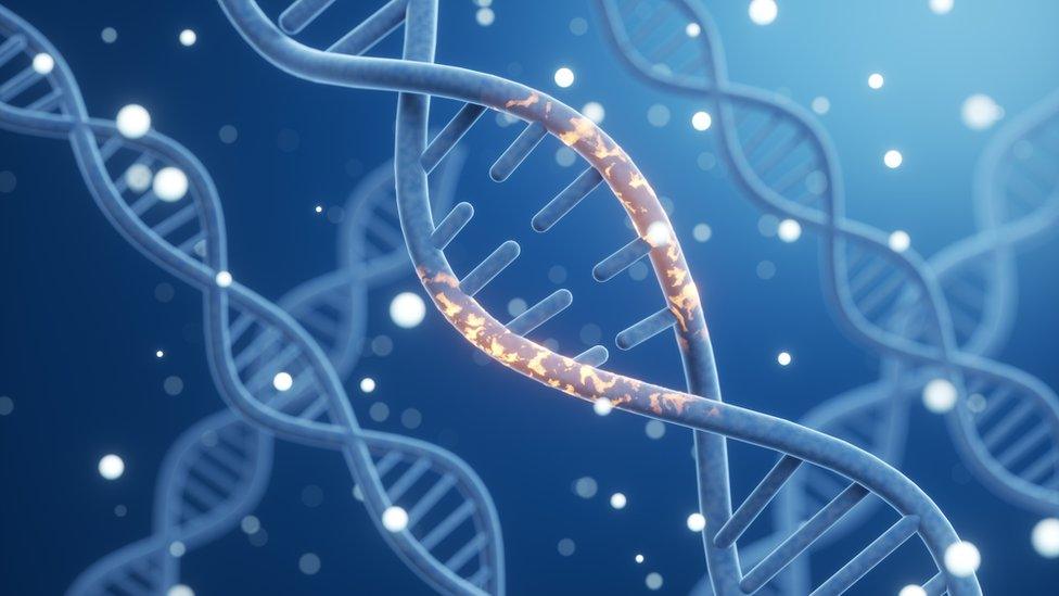 Illustration of a DNA molecule