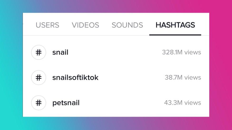 screenshot-of-snail-hashtag-seach-on-TikTok