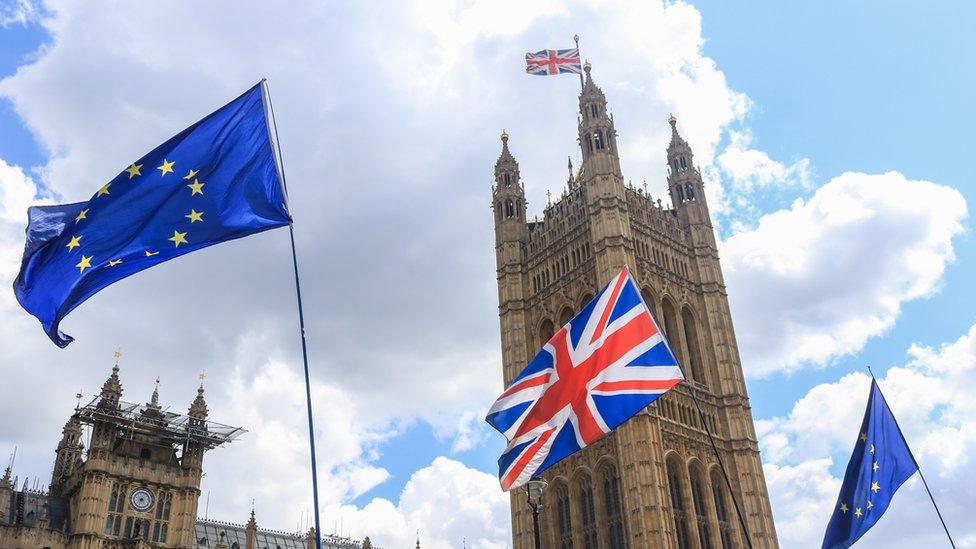 Flags-outside-Houses-of-Parliament.