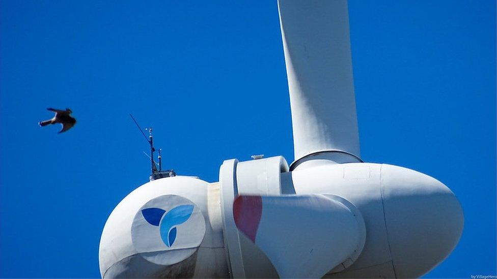 Bird flying alongside a wind turbine (Image: VIllageHero)