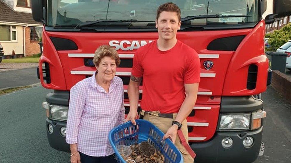 Mitch Stafford, Joan Lockley and rescued hedgehogs