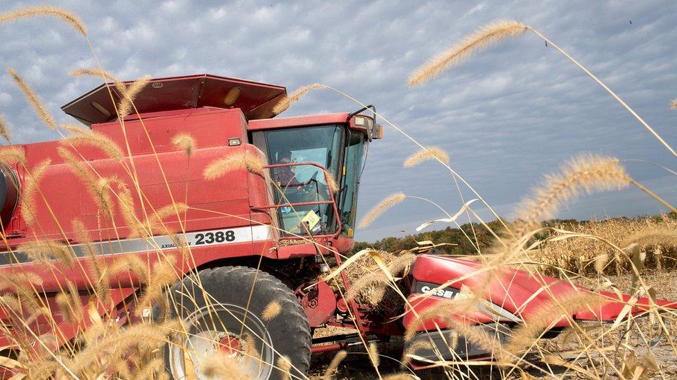 Corn harvester