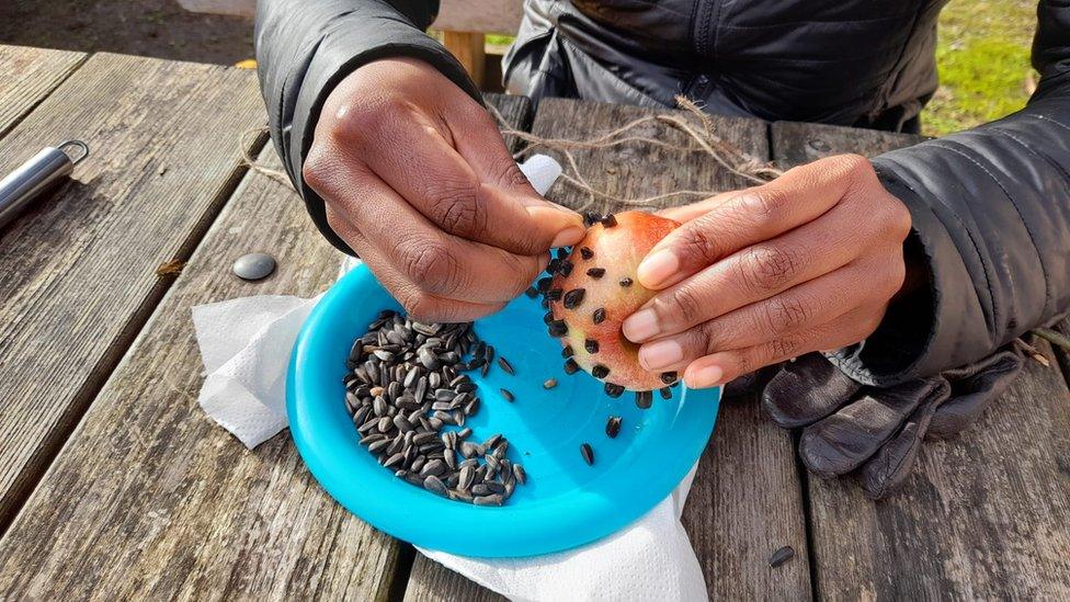 A closeup of someone's hands as they make a birdfeeder