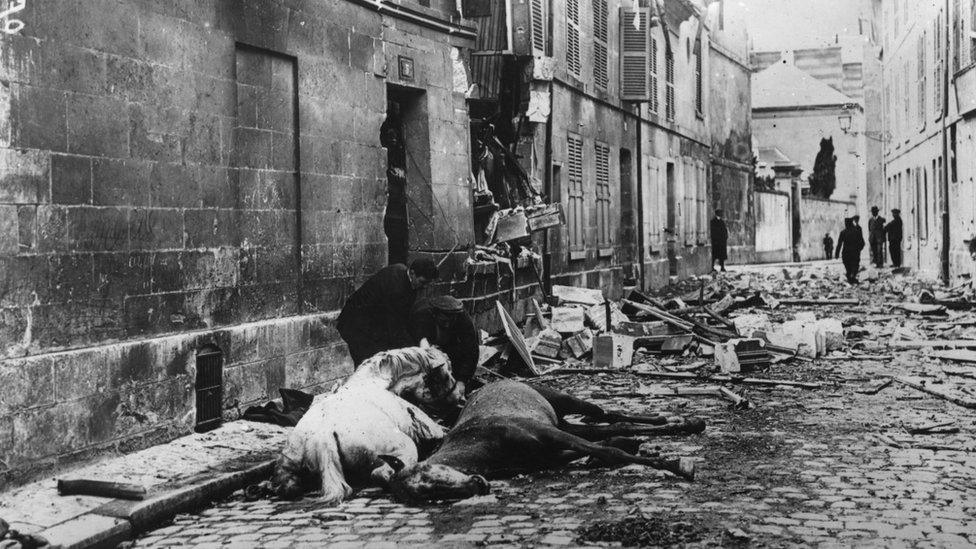 Men removing harnesses from horses wounded at the Battle of Aisne at Soissions, France, circa 1914