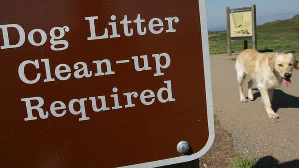 Sign saying "Dog litter clean-up required" with a dog walking past