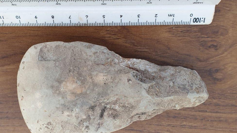 The stone axe discovered at an archaeological dig in Talsarn