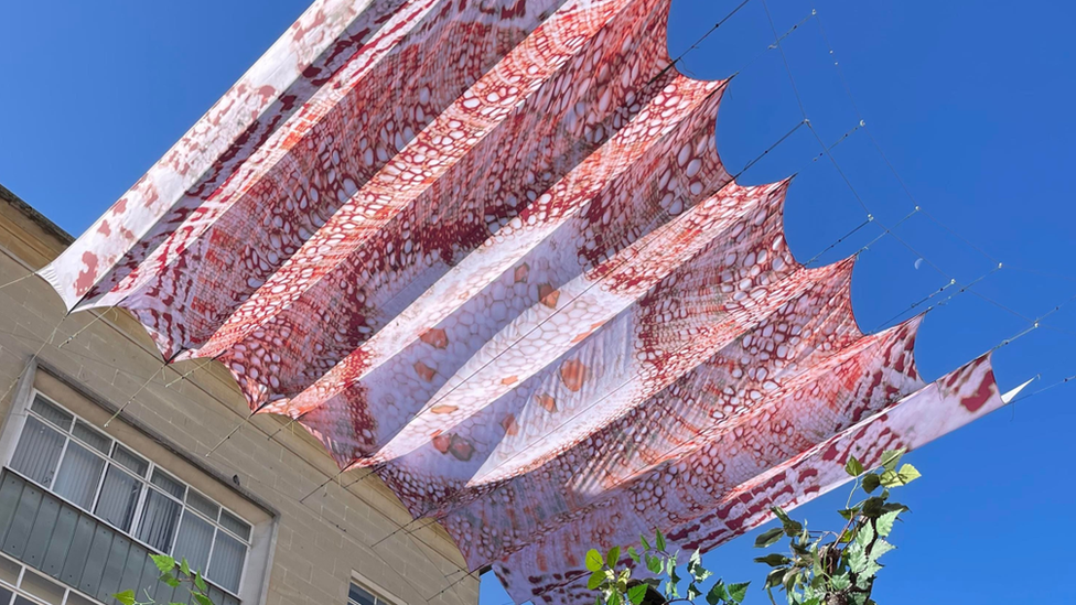 Canopy suspended over Broadmead West