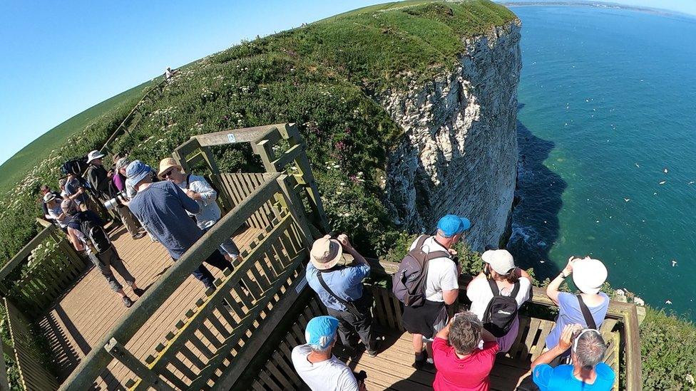 Bempton Cliffs