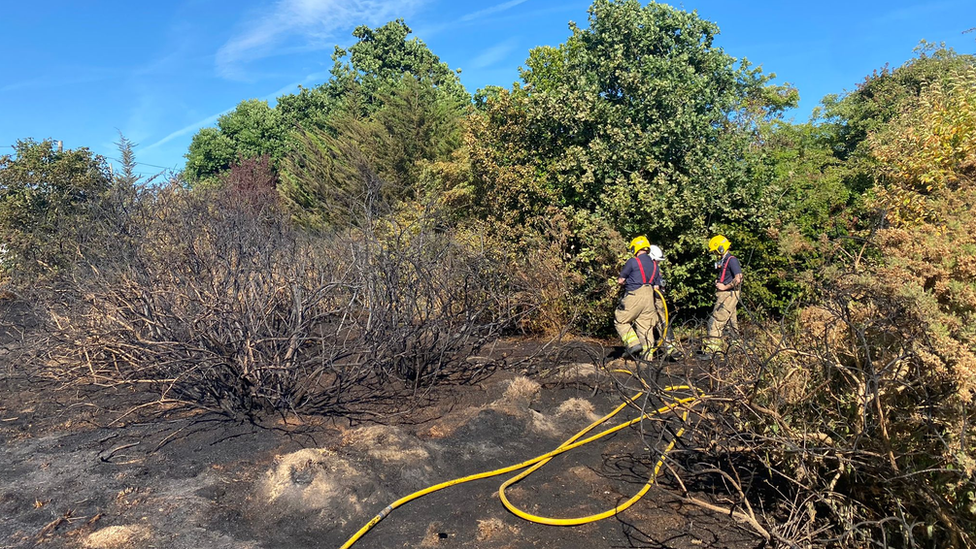 Firefighters at the site