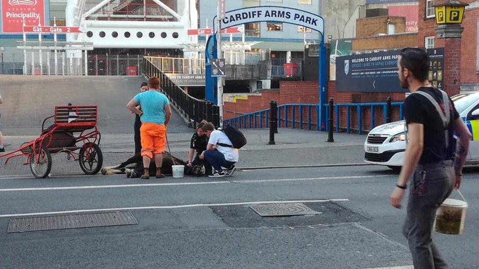 A horse collapsed on Westgate Street