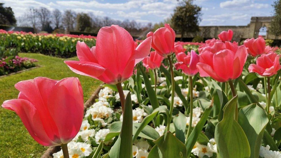 Audley End House gardens