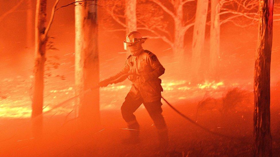 A NSW RFS volunteer firefighter wearing full protective gear points a hose as he's surrounded by fire