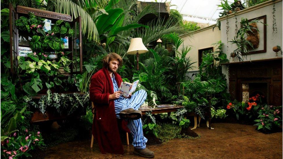 The RHS' "Giant Houseplant Takeover" at its garden in Wisley, Surrey