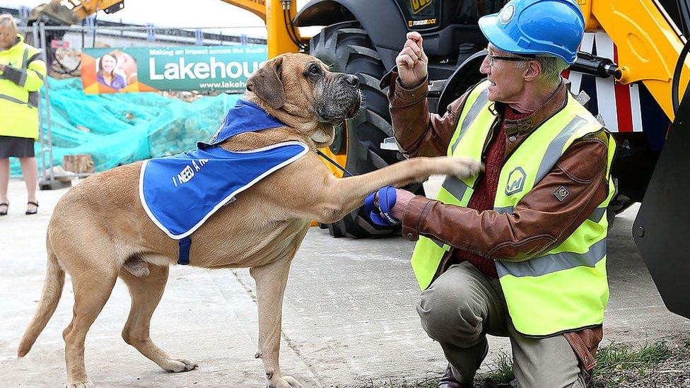 O'Grady wearing a high-visibility jacket and playing with a dog