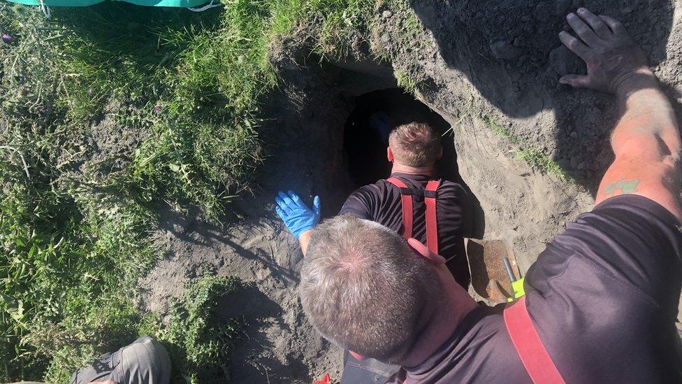 Firefighters getting to a dog down a hole