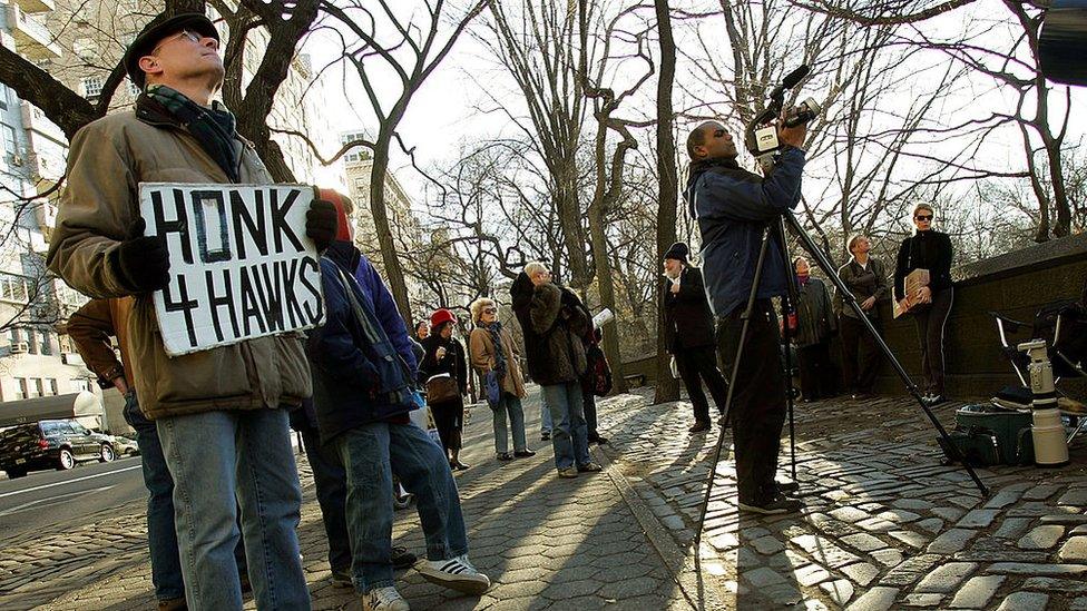 Protesters and bird watchers attempt to get a glimpse of Pale Male after his nest was removed in 2004