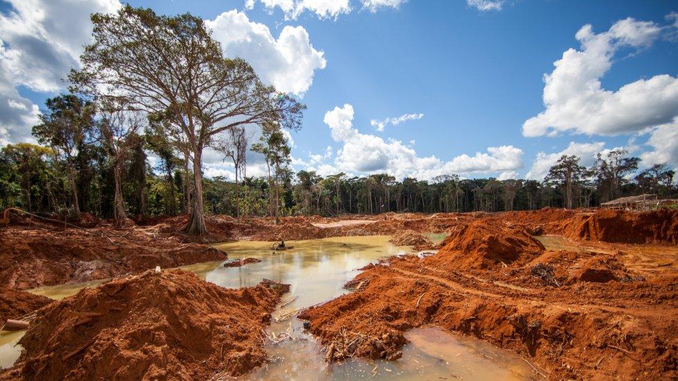 View of a deforested area