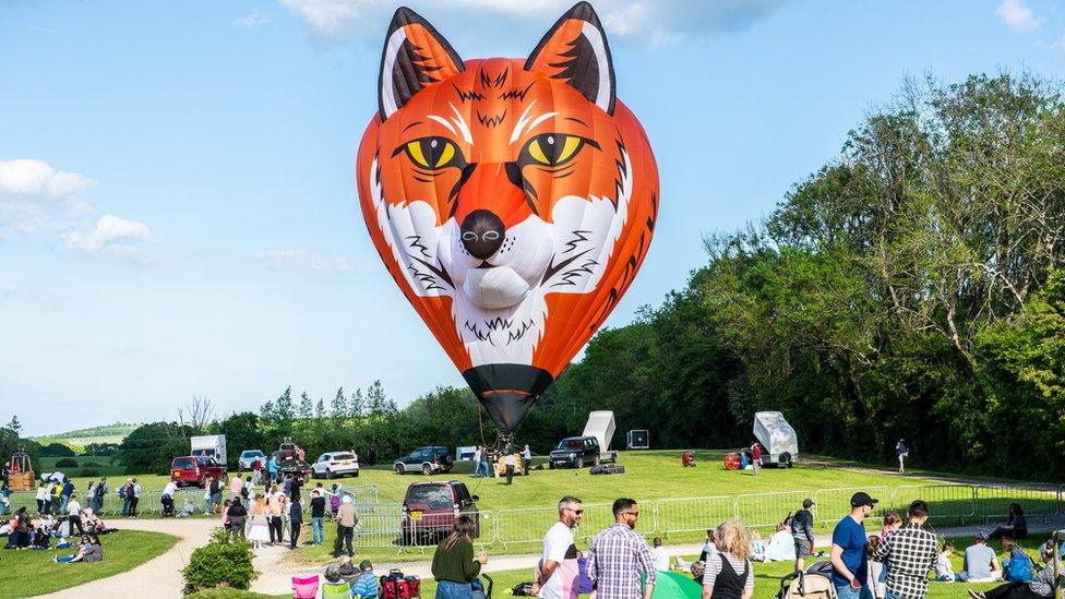 A fox hot air balloon