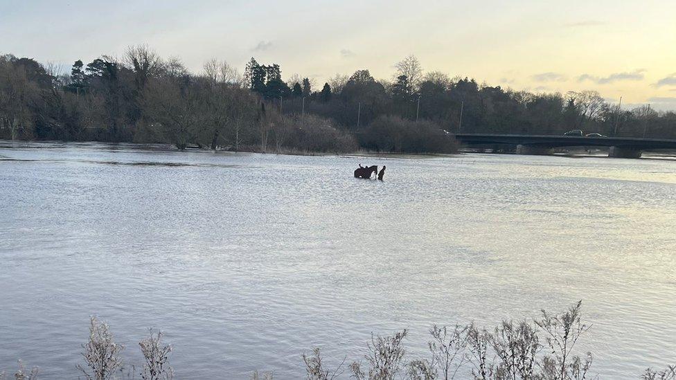 The horse statue in the flooded field