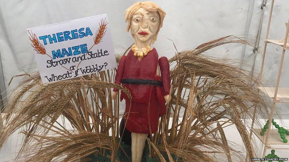 Theresa Maize - straw and stable or wheat and wobbly?