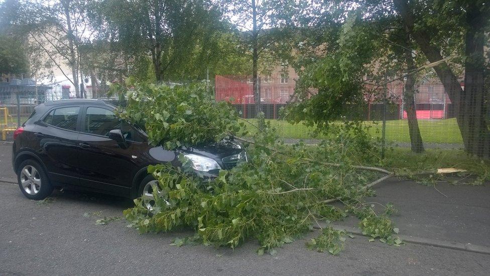 Tree blown on top of car in Dennistoun in Glasgow