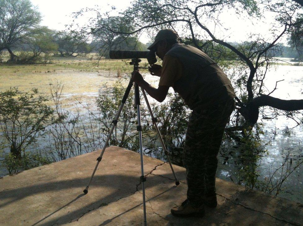 Prakash in Bharatpur reserve