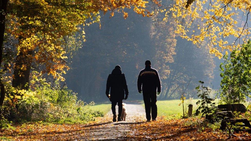 Two men walking in a park