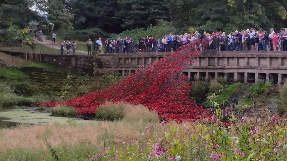 Poppies at Yorkshire Sculpture Park