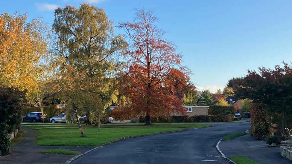 Collin Close in Willersey