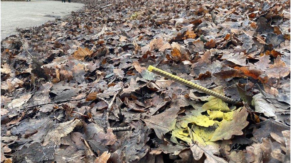 metal pole sticking out of leaves