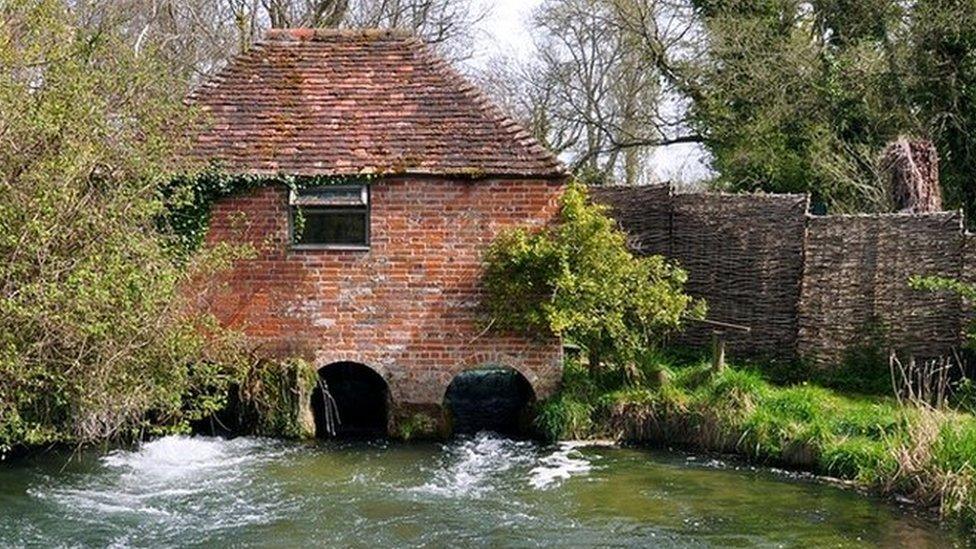 The swans were found near the eel house on the river Arle