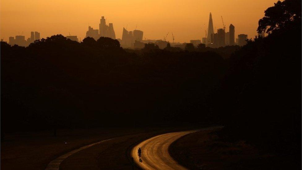 A cyclist rides through Richmond Park at sunrise