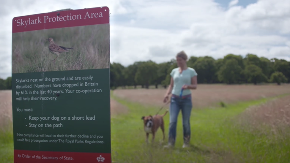 Skylark protection sign