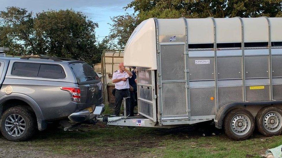 Trailer loaded with animals