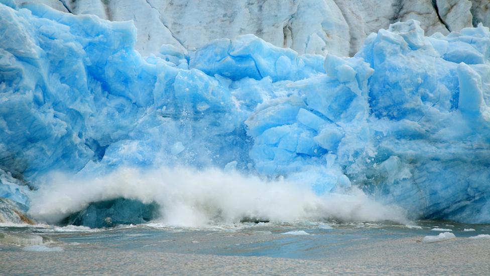 A calving glacier