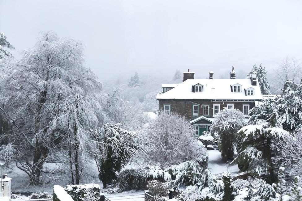 Snow-covered trees and houses