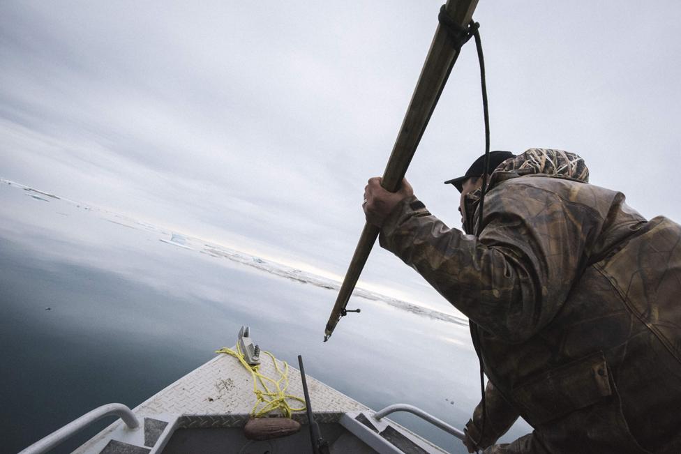 Speeding up to a bearded seal moments after a successful shot, Gilford Mongoyak prepares to harpoon it before sinking into the sea. A precise hit is important to preserve the skin without holes.