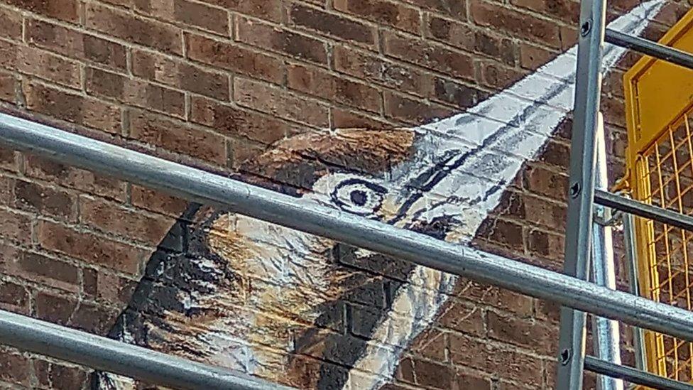 Bittern mural