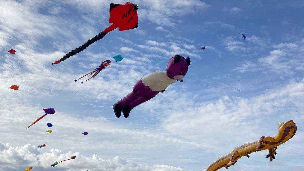 A bear kite