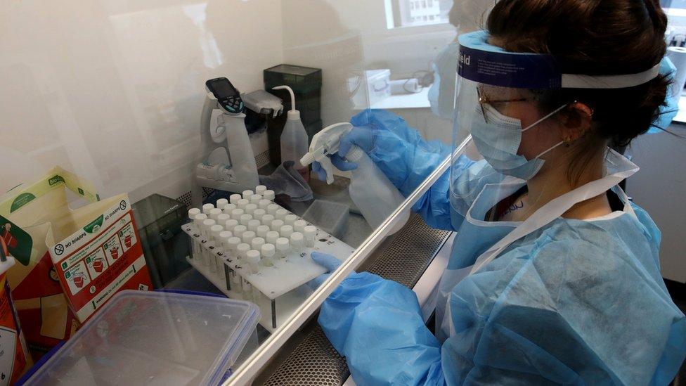 A scientist wearing PPE analysing tests