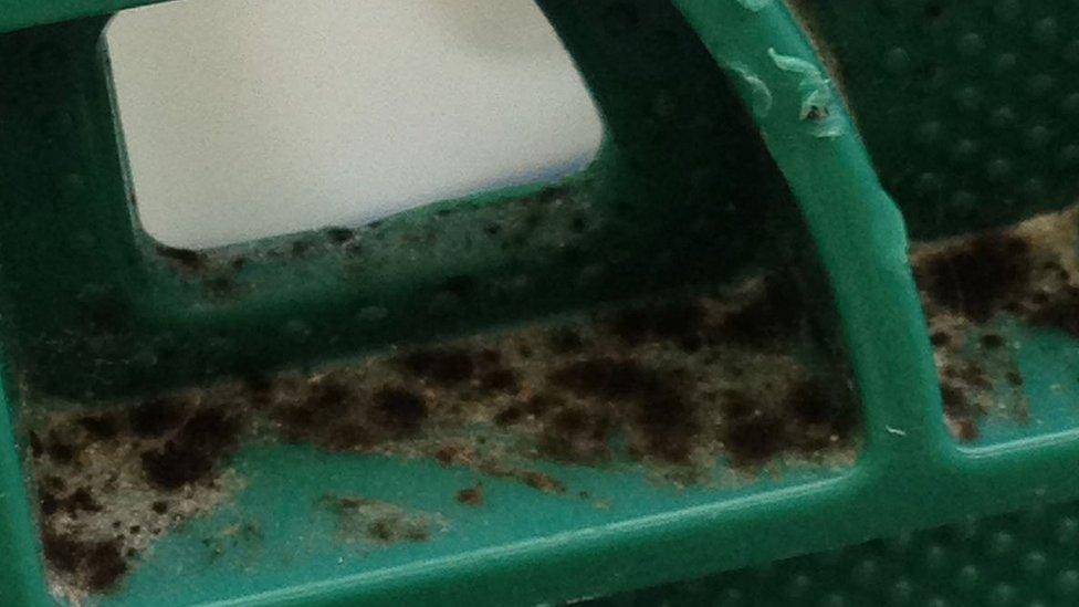 Mould on Asda crate