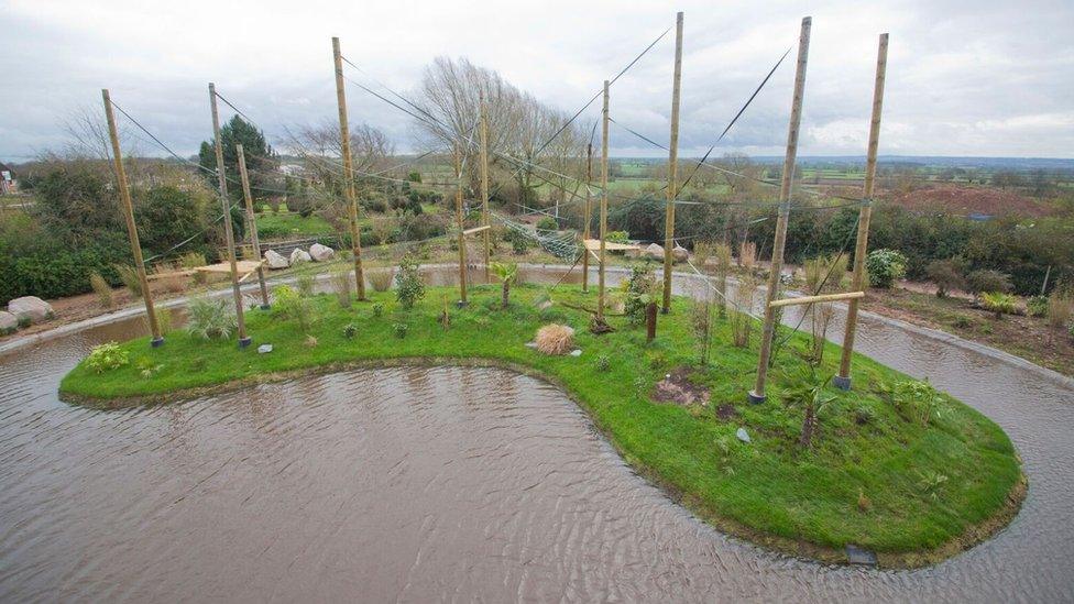 Islands outside the gibbon enclosure