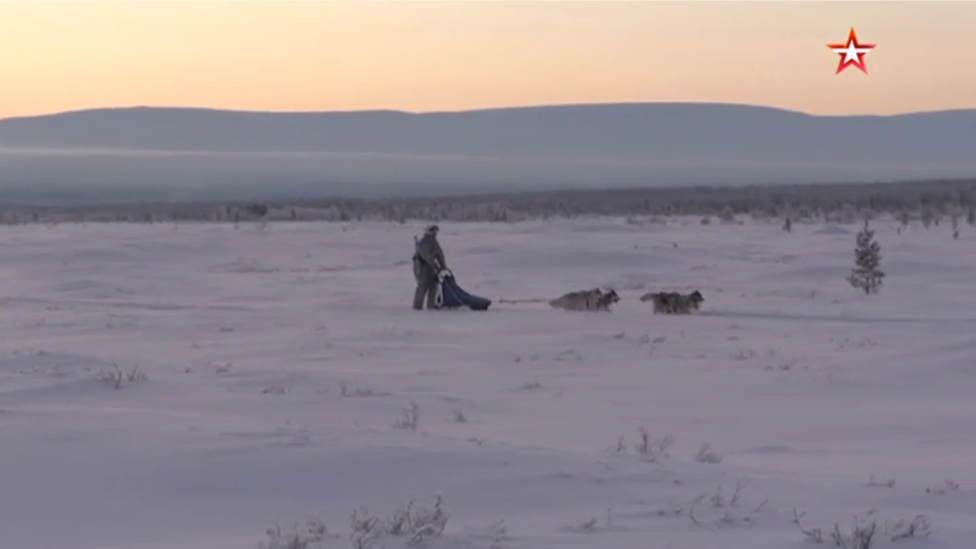 Husky dogs on military training, Russia, 2019