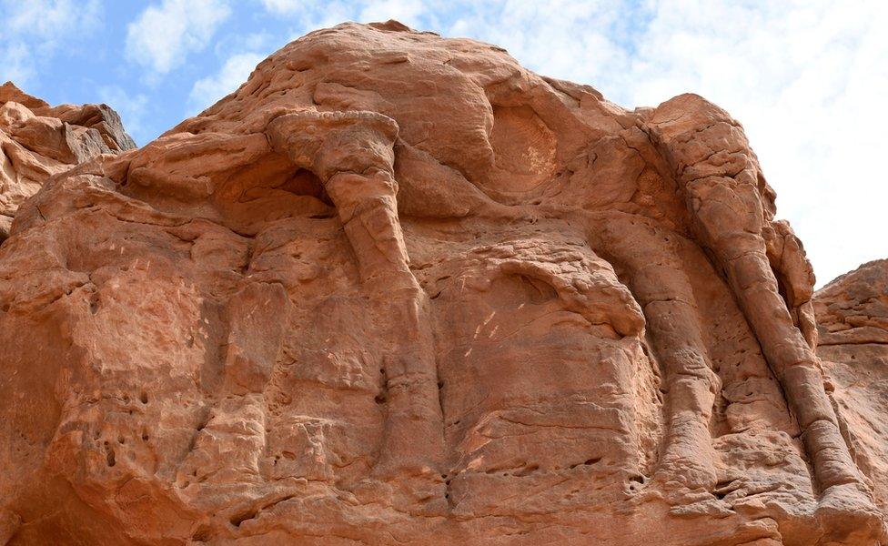 A huge camel relief in northern Saudi Arabia