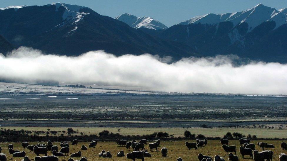 New Zealand's Southern Alps