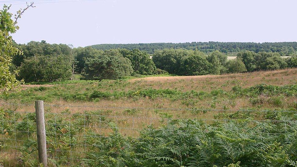 Walberswick Heath