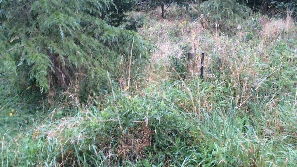 Green burial site in Lincolnshire