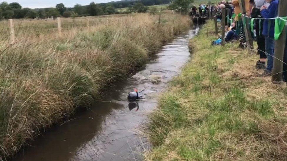 Bog snorkelling